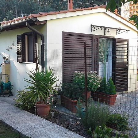Da Lilly Apartment Lucca Exteriör bild