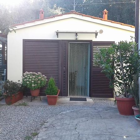 Da Lilly Apartment Lucca Exteriör bild
