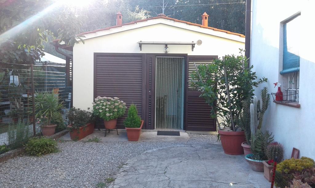 Da Lilly Apartment Lucca Exteriör bild